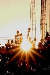 わが家の初日の出・・・