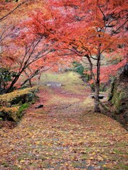 座禅堂から・・・
