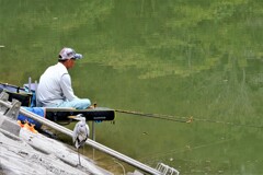 釣り師とサギ・・・