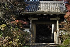 龍潭寺山門・・・