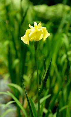DSCF8379・・・2