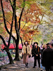 紅葉狩り・・・