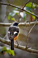 未だ落ち着かないジョビ君・・・