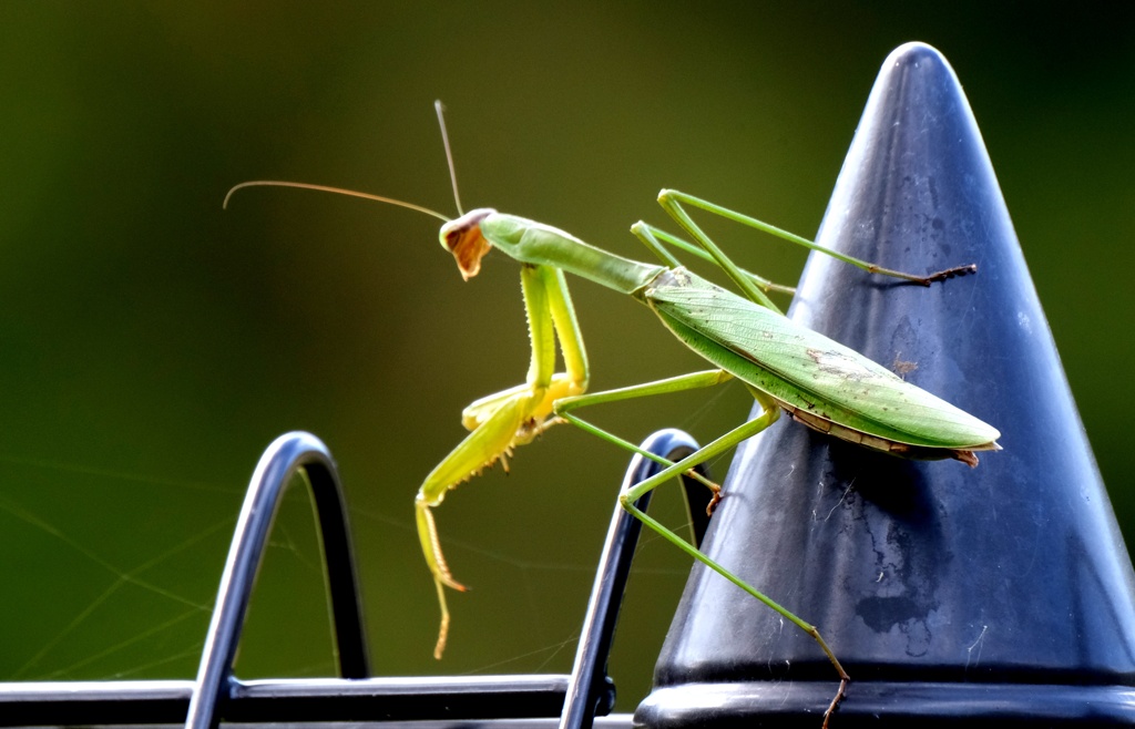 居場所が違うかな・・・