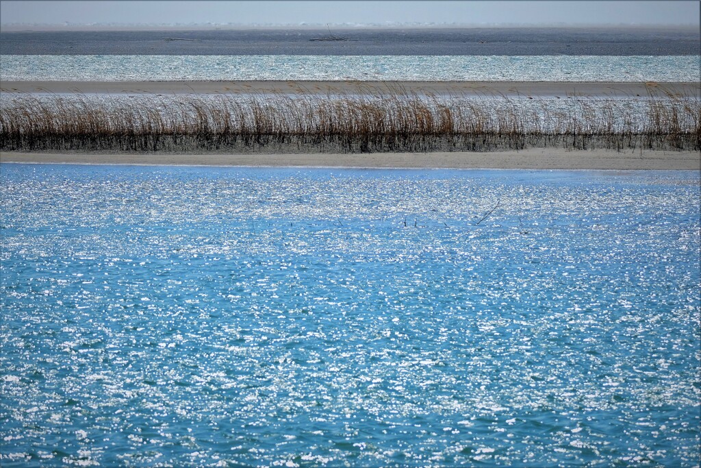 春の河口・・・1