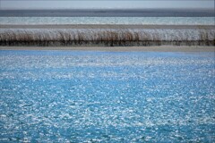 春の河口・・・1