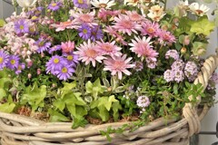 花屋さんで・・・