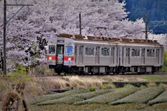 DSCF0026