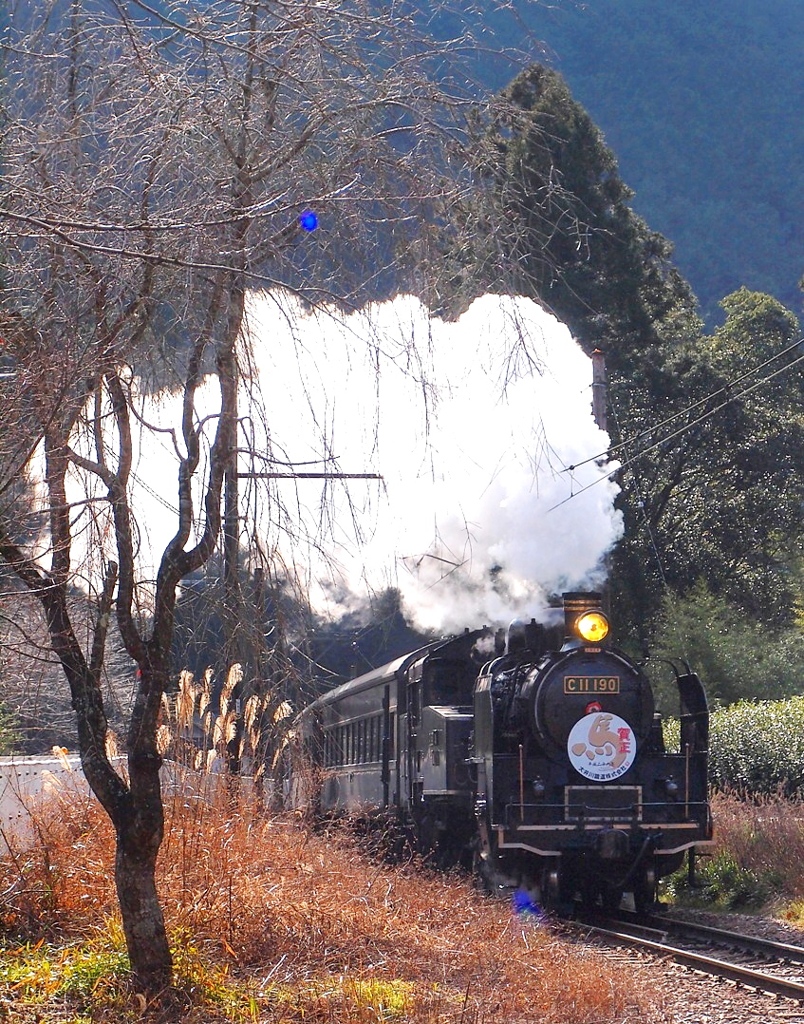 馬年新年号・・・