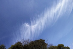 今朝の雲・・・　0103  1