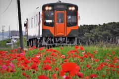 天竜浜名湖鉄道・・・