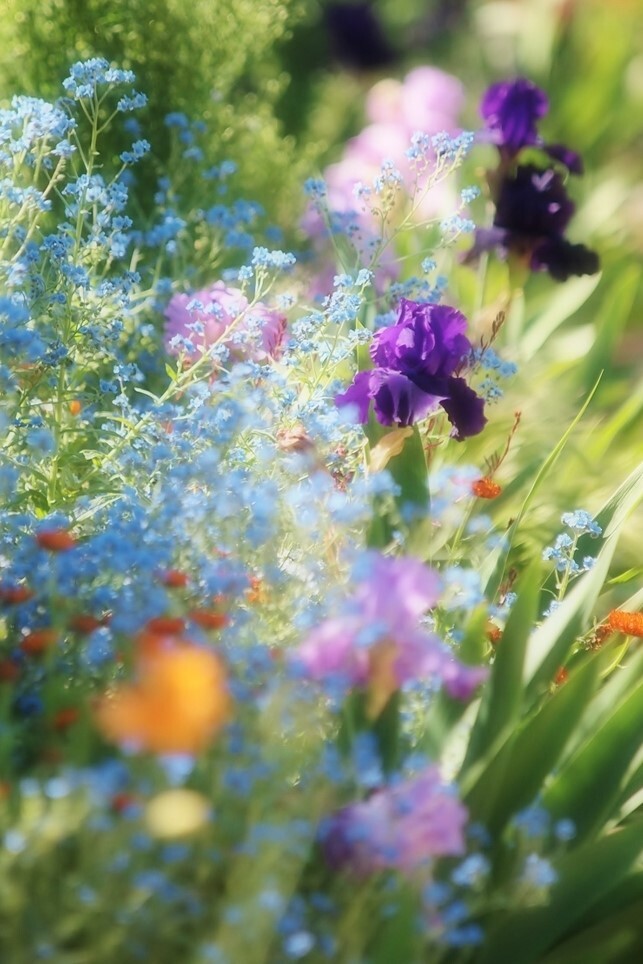 花の美術館にて・・・