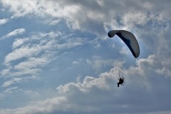 夏空に飛ぶ・・・