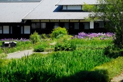 掛川　加茂荘花鳥園へ・・・