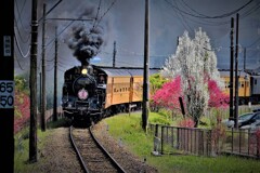 大井川鉄道　川根温泉辺り・・・