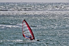 DSCN0197