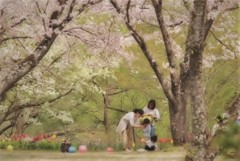 さくらの頃に・・・