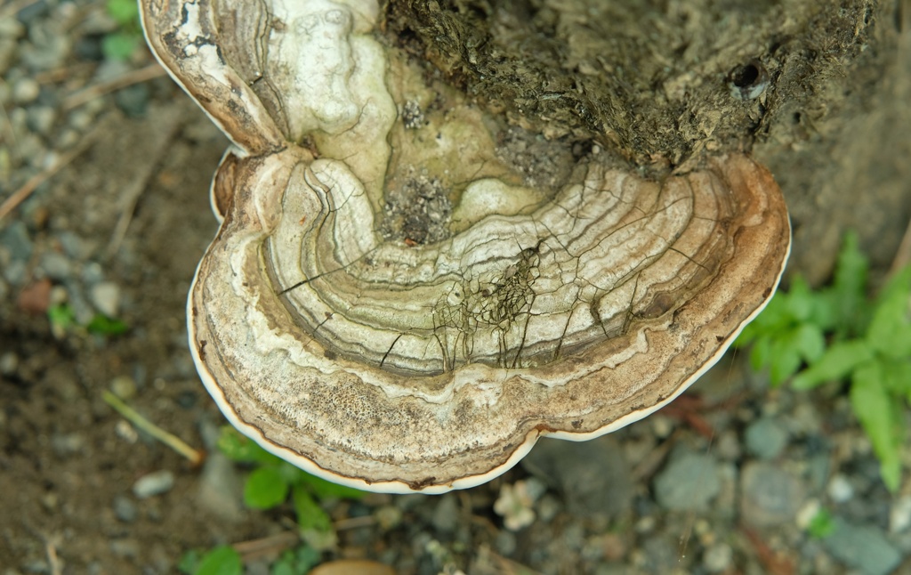 腰掛け・・・