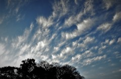 きょうの夕雲・・・