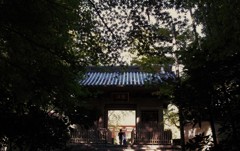 井伊直虎　ゆかりの寺・・・
