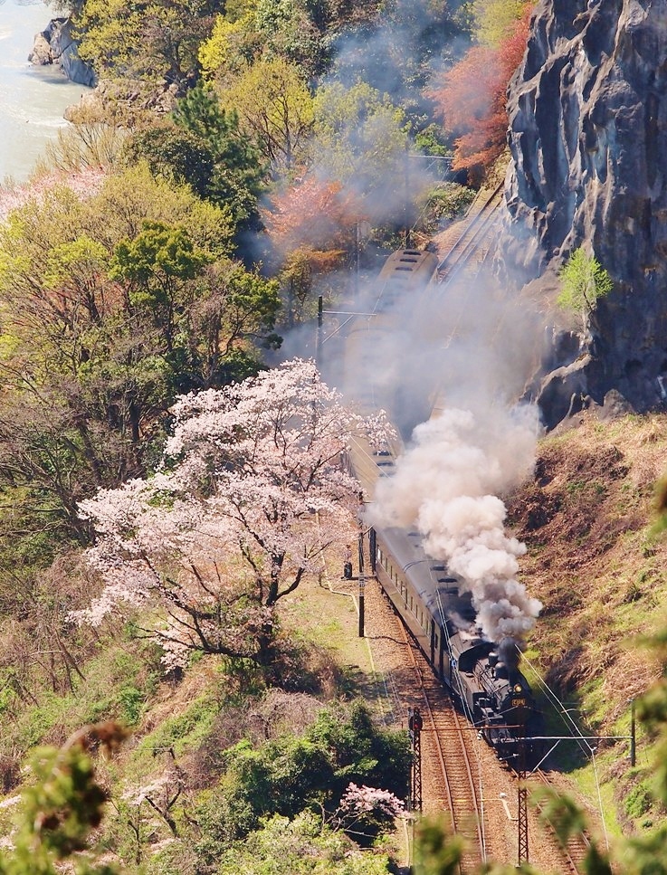 神尾駅辺り・・・