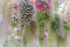 DSCF0070