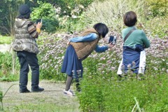 蝶撮り女子・・・