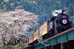 家山辺り・・・