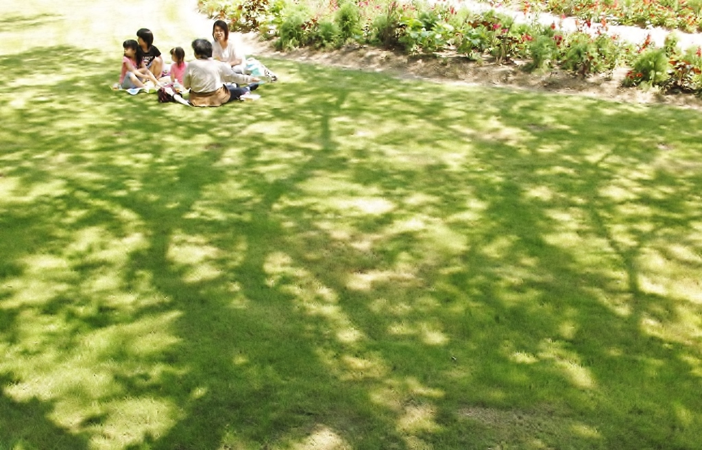 木陰の芝生で・・・