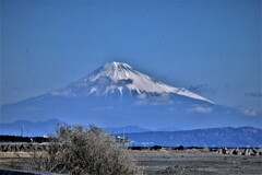 大井川河口辺りから・・・