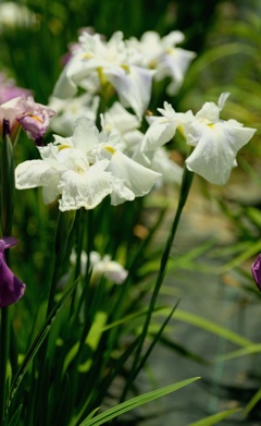 DSCF8365・・・3