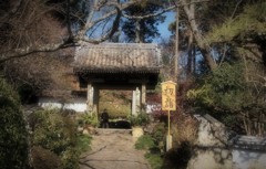 井伊家の菩提寺・・・