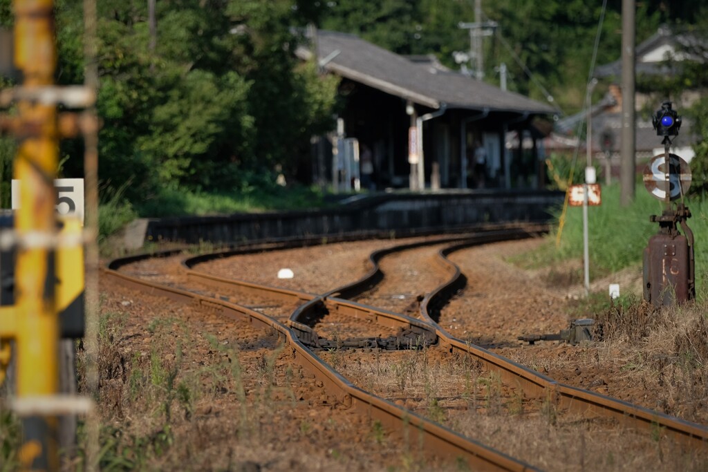 DSCF0065