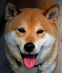 Smile