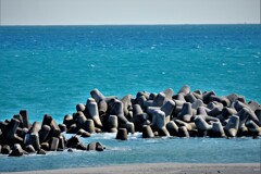 きょうの海・・・