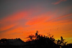 きょうの夕空・・・