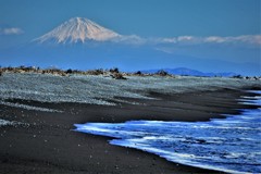 撮ってみたけど・・・