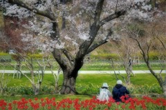フラワーパークにて　6