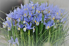 花束を・・・