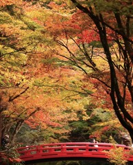 小国神社にて・・・