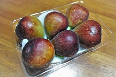 博多とよみつひめ・・・