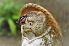 ここかよ・・・