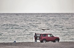 浜釣り 0108