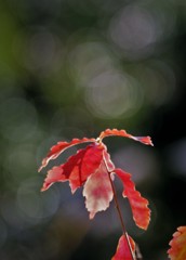 背景選び・・・2