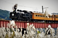 大井川鉄道・・・