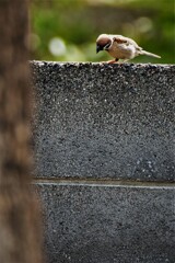 最初の一歩は何処に・・・