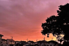 明日への夕暮れ