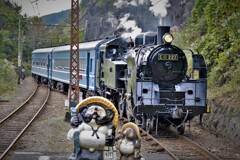 タヌキの神尾駅通過・・・