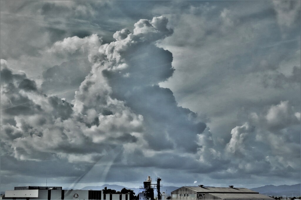 きょうの落ち着かない雲・・・