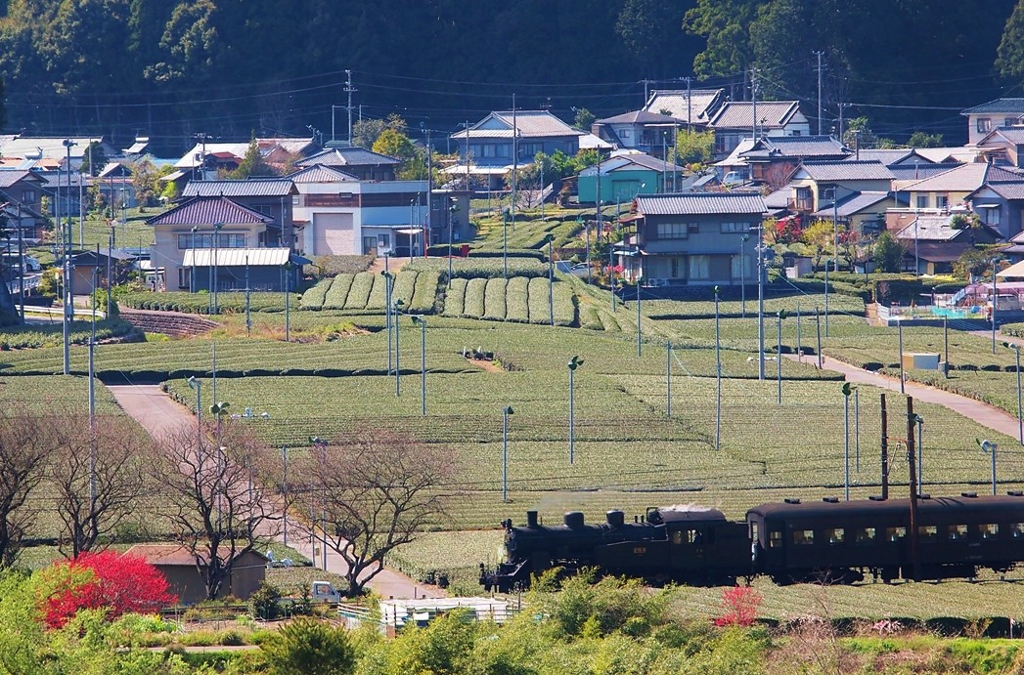 煙の無い抜里辺り・・・